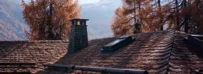 Chimney Animal Removal Foster Village, Watauga
