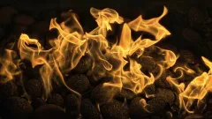 Fireplace Cleaning Service Foster Village, Watauga