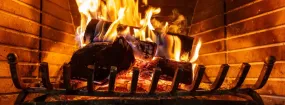 Fireplace Damper Services Foster Village, Watauga