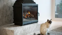 Wood Burning Fireplace Repair Foster Village, Watauga