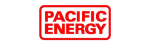 Pacific Energy Regency Fireplace Repair in Watauga